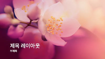 봄|벚꽃 자연 프레젠테이션(와이드스크린) 봄|벚꽃 자연 프레젠테이션(와이드스크린)